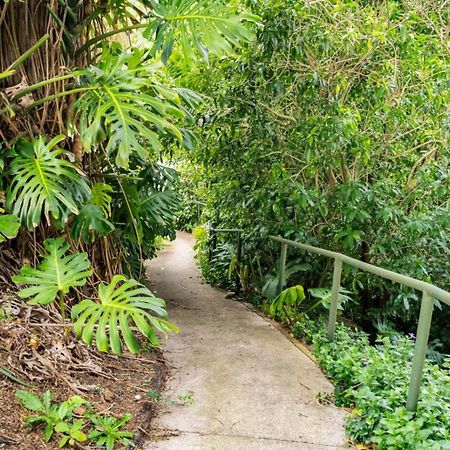 Hatea Treehouse Whangarei Eksteriør billede
