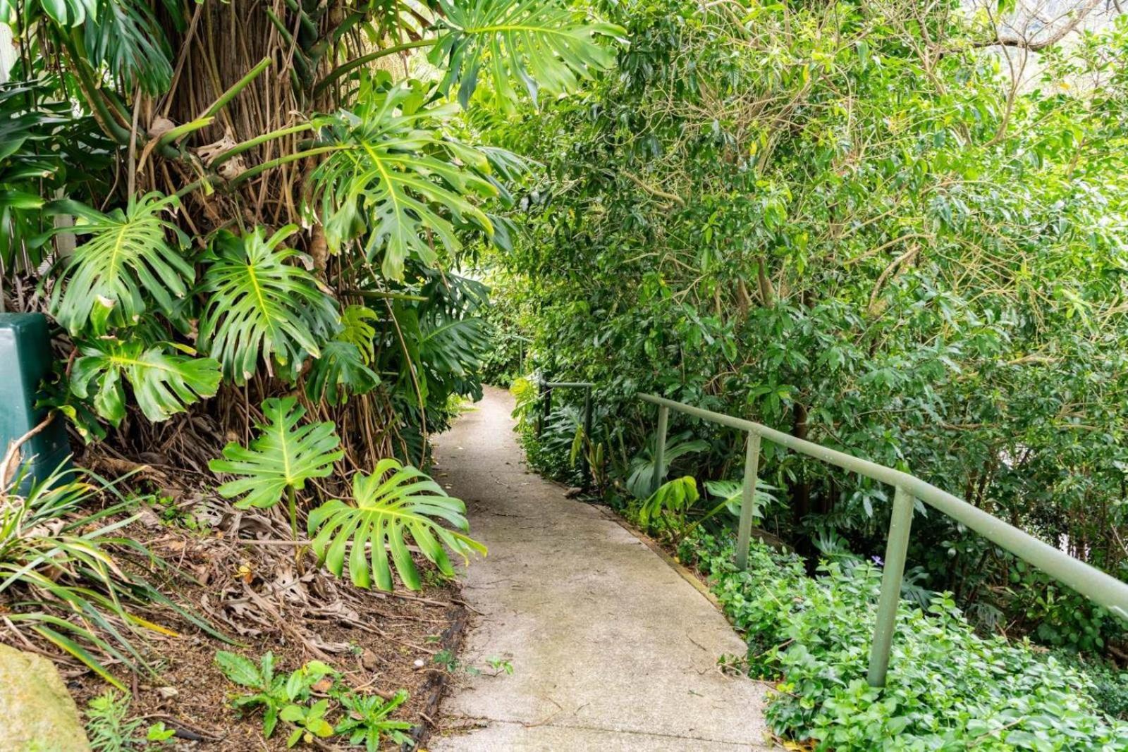 Hatea Treehouse Whangarei Eksteriør billede